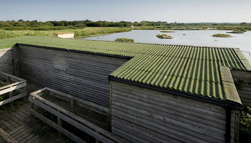 Titchfield Haven Hide